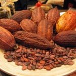 cacao-mexicano 1