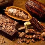 cacao-mexicano por