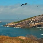 aves-santa isabel-3