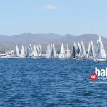 reagata33