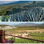 rutasturisticas-bahia-int