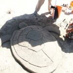 tortugas-bahia