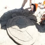 tortugas-bahia