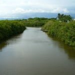 nuevovallarta-bahia-int2