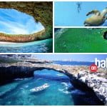 collageislasmarietas_bahiamagazine_face