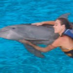 dolphindiscovery_bahiamagazine_int 2