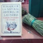 expo-herbolaria_bahiamagazine_int
