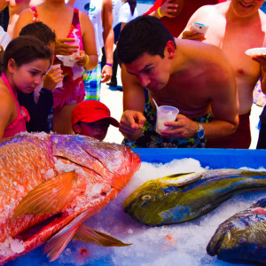 Bahia-Magazine_Fish-Market_HardRock9