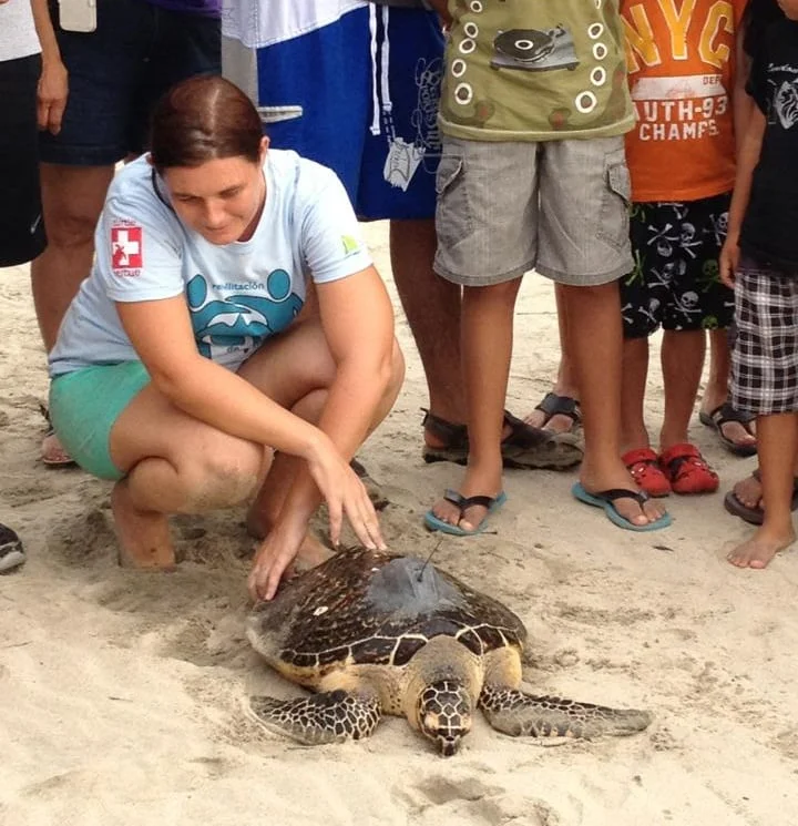 Vuelve “Nayar” a Riviera Nayarit, con nuevas noticias 1 Bióloga Catherine Hart, directora de la Red Tortuguera A.C.