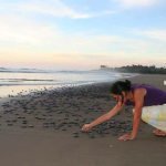 BahiaMagazine_RivieraNayarit_tortugas