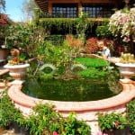 bahia-magazine_jardin-botanico
