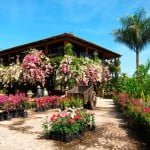 bahia-magazine_jardin-botanico3
