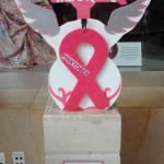 bahia-magazine_pinktober3