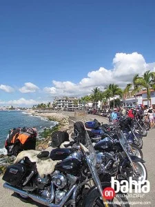 Harley07