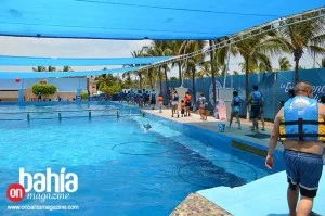 Aquaventuras Park de Dolphin Discovery regala 10,000 Sonrisas 12 dolphy12