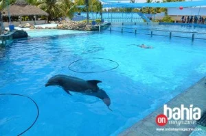 Aquaventuras Park de Dolphin Discovery regala 10,000 Sonrisas 14 dolphy14