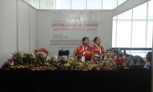 EXPOSITOR CHIAPAS