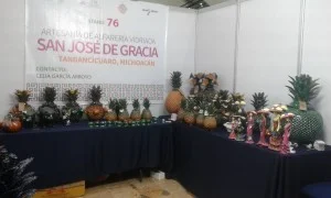 EXPOSITOR MICHOACÁN