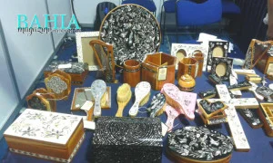 expo pueblos indigenas2