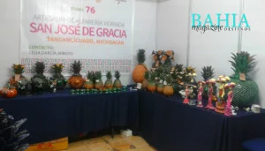expo pueblos indigenas3