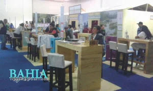 expo pueblos indigenas41