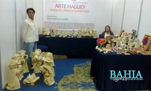 expo pueblos indigenas81