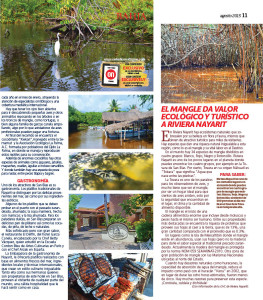 BMDED0711 On Bahia Magazine Destinos Página