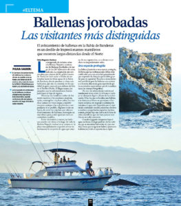 ONBMEDnov dicWEB100 On Bahia Magazine Destinos Page