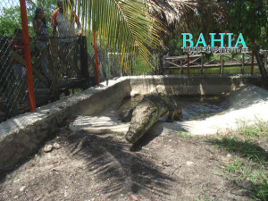 cocodrilario el cora On Bahia Magazine Destinos Ecología Entrada