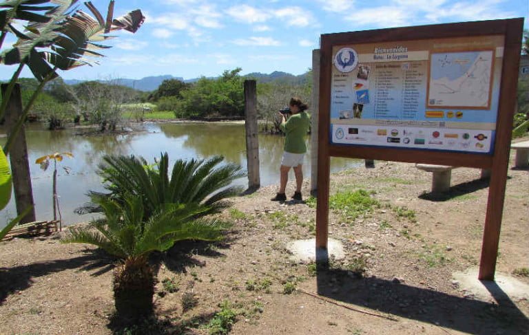 Crean Rutas de Observación de Aves en Lo de Marcos