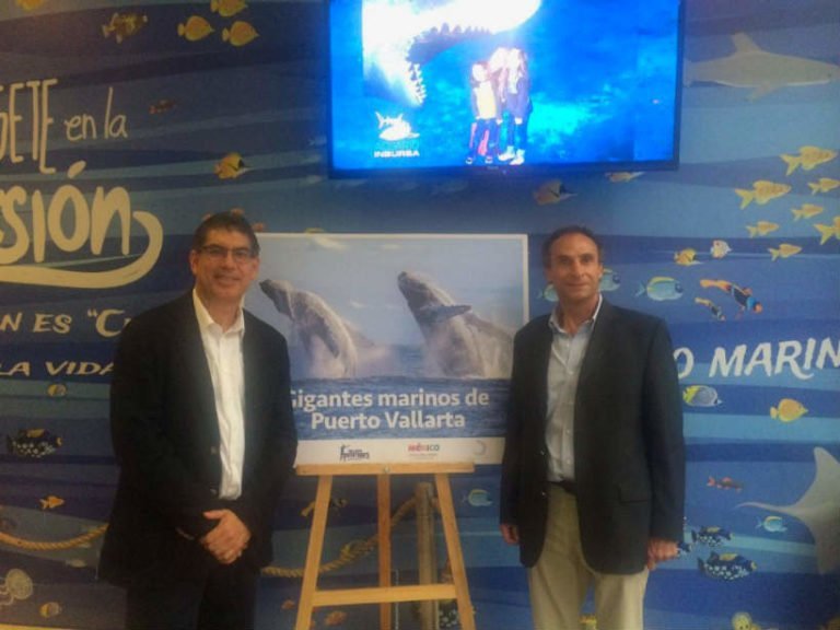 Exito de “Gigantes Marinos de Puerto Vallarta” en Acuario Inbursa