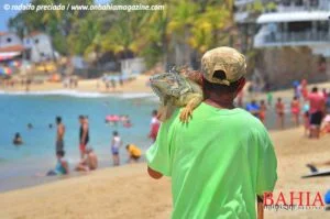 DE TOUR: Las Ánimas, una playa "con alma" 20 ANIM120