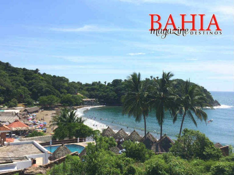 Realizan el IV Festival de la Tortuga Marina en Playa Platanitos