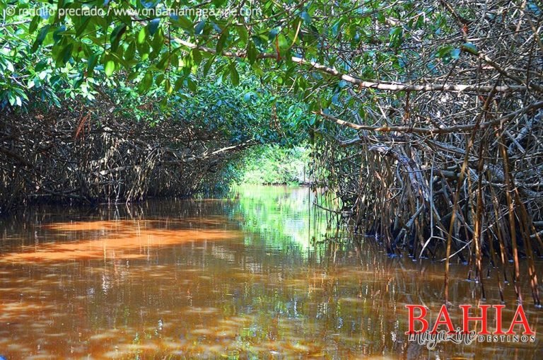 Turismo de Naturaleza atrae a 6.4 millones de viajeros a México