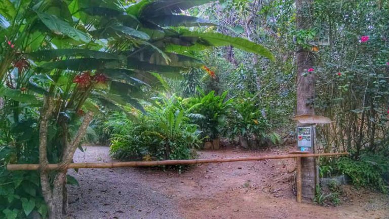 De Tour: Un orquideario a la orilla del mar en San Pancho