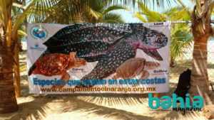 campamento tortuguero el naranjo12 On Bahia Magazine Destinos Ecología Entrada