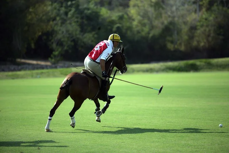 la-patrona-polo
