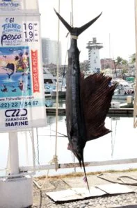 torneo-pesca-vallarta
