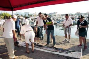torneo pesca vallarta5 On Bahia Magazine Destinos Turismo Deportivo Entrada
