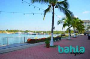 marina nuevo vallarta9