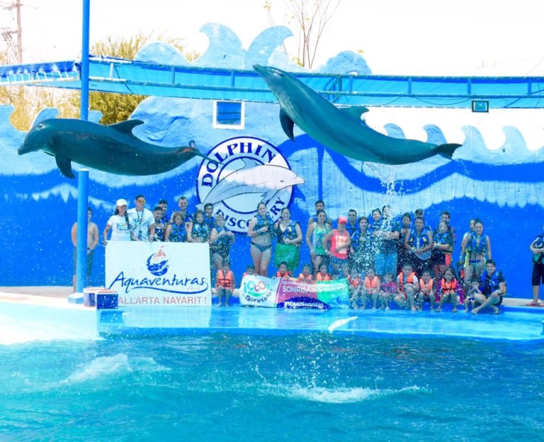 «10,000 Sonrisas», el programa amigable de Dolphin Discovery