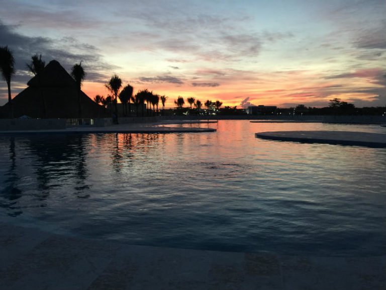 Dolphin Discovery es certificado por touroperadora Thomas Cook