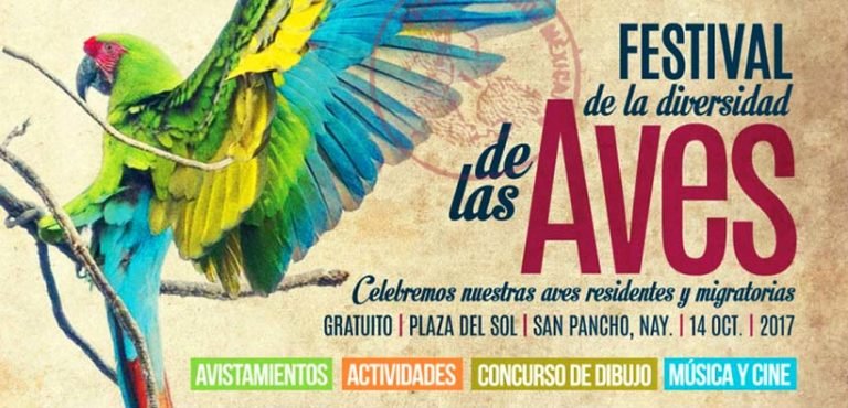 1er. Festival de la Diversidad de Aves de San Pancho