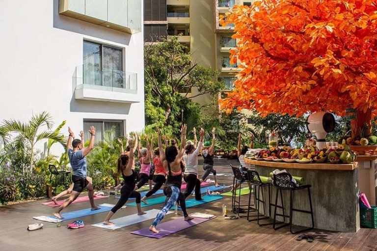 Puerto Vallarta, un destino con destacadas experiencias para el segmento del wellness