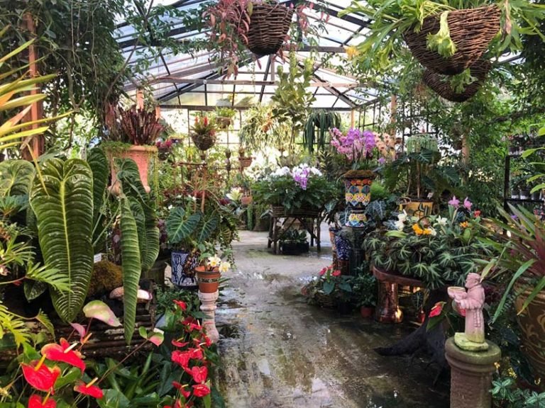 El Jardín Botánico de Vallarta está entre los 5 primeros jardines de Norteamérica