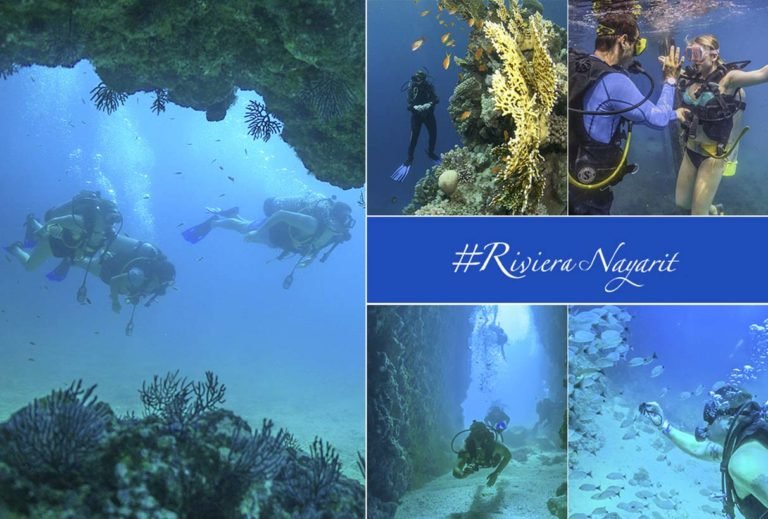 6 lugares increíbles para bucear en la Riviera Nayarit