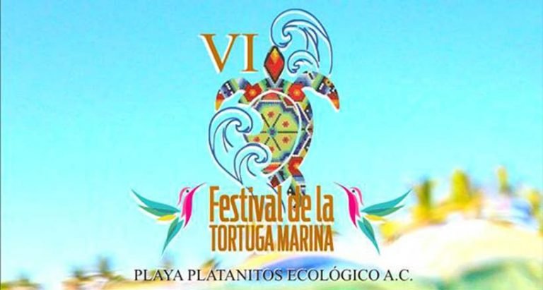 VI Festival de la Tortuga Marina 2018 en Playa Platanitos