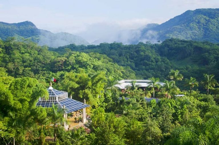 La fotografía de vida silvestre en el Jardín Botánico funciona 24/7