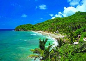 Riviera Nayarit Medio Ambiente On Bahia Magazine Destinos turismo Evento