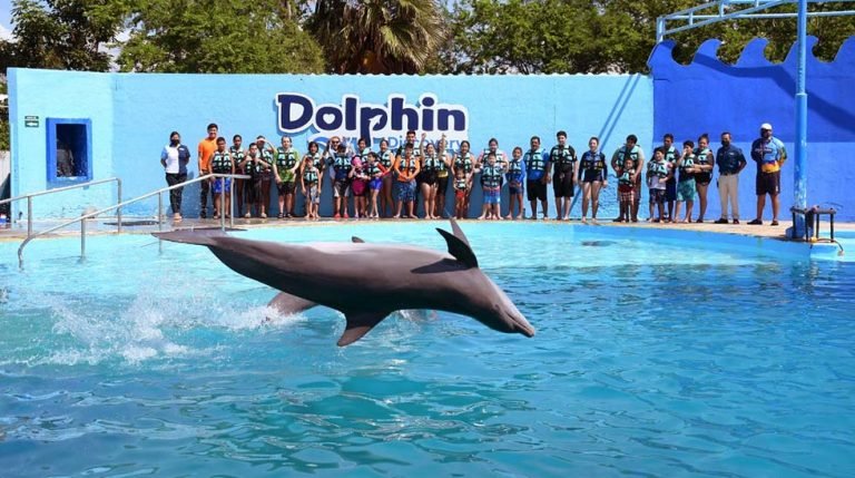 Puerto Vallarta celebra el Día Mundial del Turismo con acciones de Responsabilidad Social